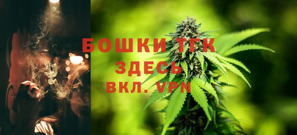 стаф Зерноград