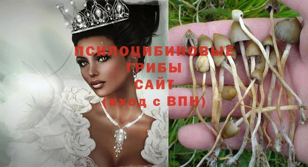 тгк Алексеевка