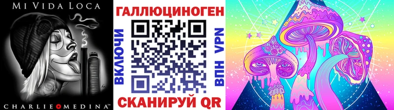 Галлюциногенные грибы Cubensis  наркошоп  Гаджиево 